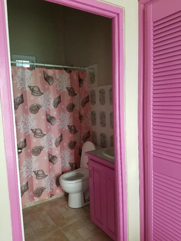 Rosa Guesthouse Carriacou Inn